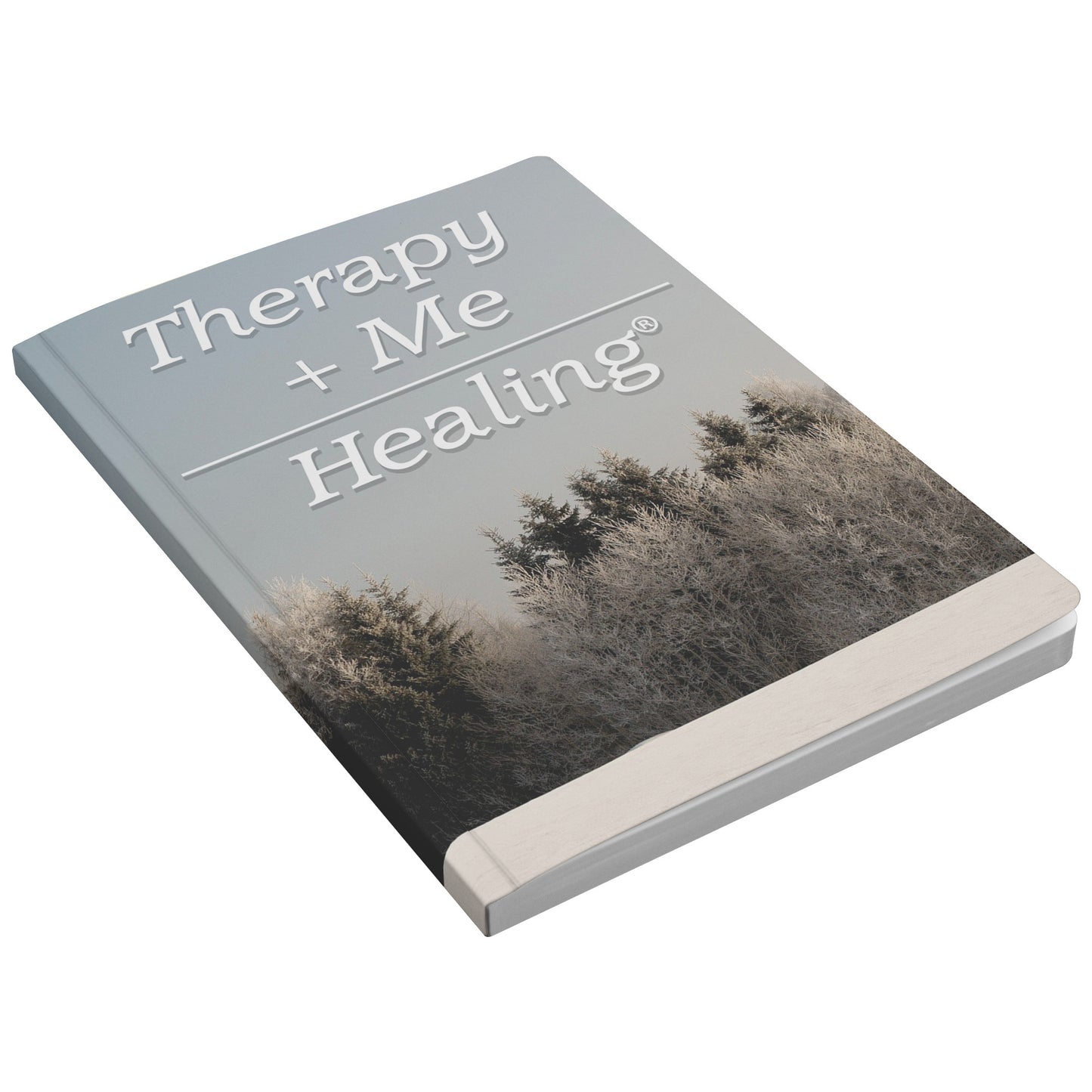 Therapy Plus Me Equals Healing (MATH) Journal